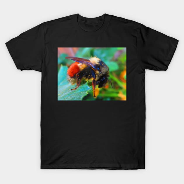 Bumble Bee . T-Shirt by Canadaman99